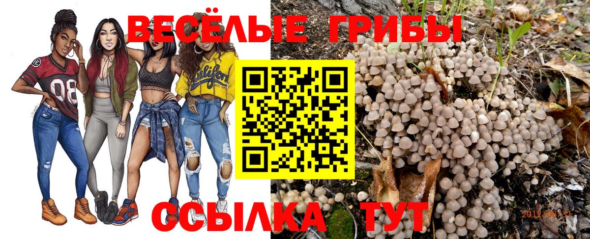 Псилоцибиновые грибы Psilocybe  Вход с VPN  Полевской 